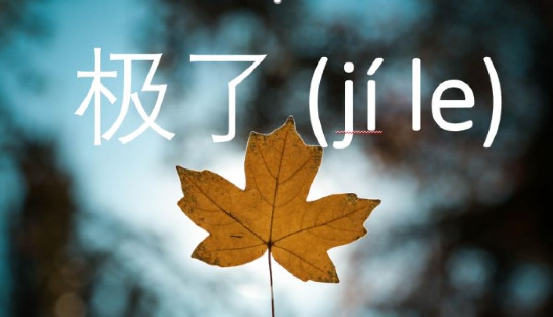 Belajar Mandarin: Penggunaan 极了 (jíle)-Image-1