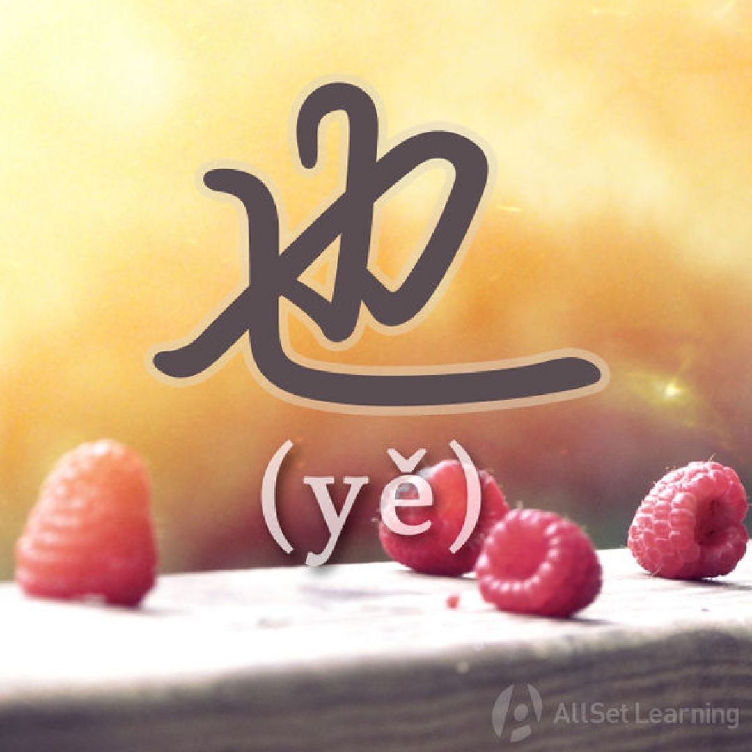 Belajar Mandarin: Penggunaan 也 (yě)-Image-1