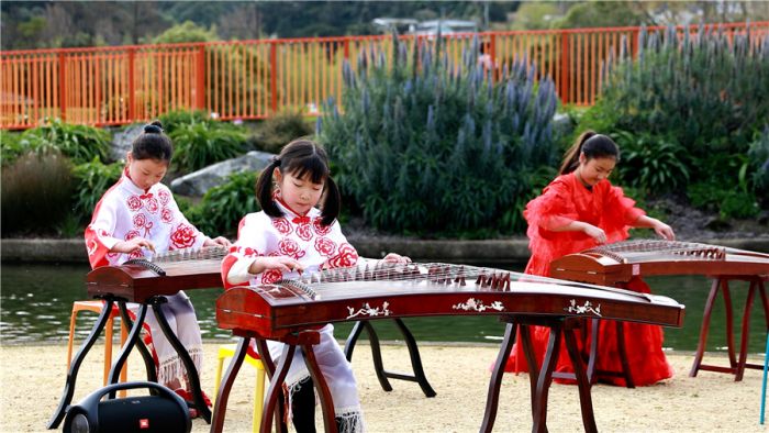 Siter China Sambut Musim Semi di Selandia Baru dengan Ansambel Bunga Melati-Image-3
