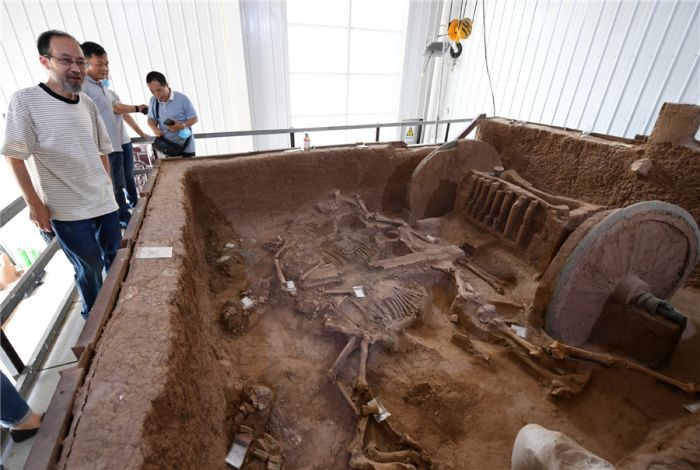 DAHSYAT, Kereta Kuda Berusia 2.800 Tahun di Shaanxi Dipulihkan-Image-5