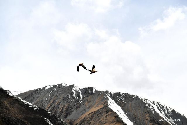 POTRET: Pemandangan Gunung Sapukonglagabo di Nagqu, Tibet China-Image-5