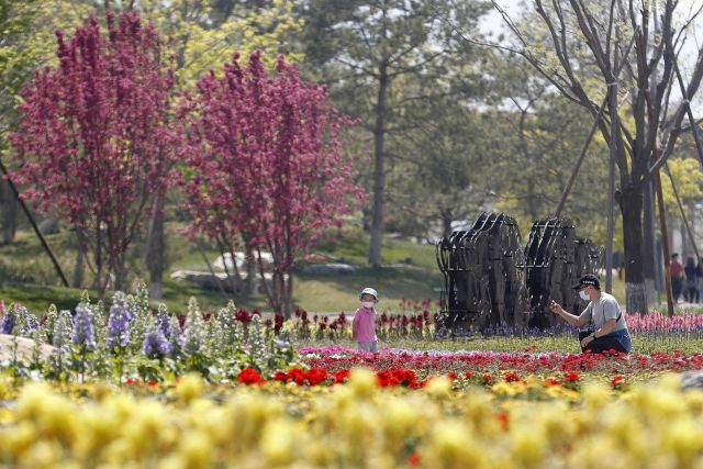 Festival Taman Internasional Beijing Tampilkan Beragam Desain Bunga-Image-3