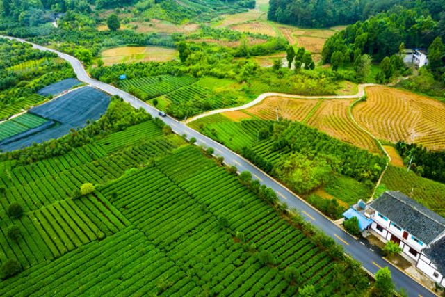 Sepuluh Jalan Pedesaan Terindah pada tahun 2020 di China-Image-8