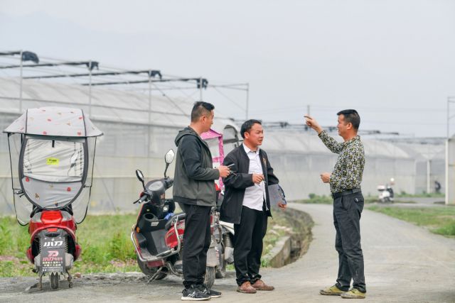 POTRET: Pasangan di China yang Beralih dari Pekerja Migran Menjadi Petani Profesional-Image-5