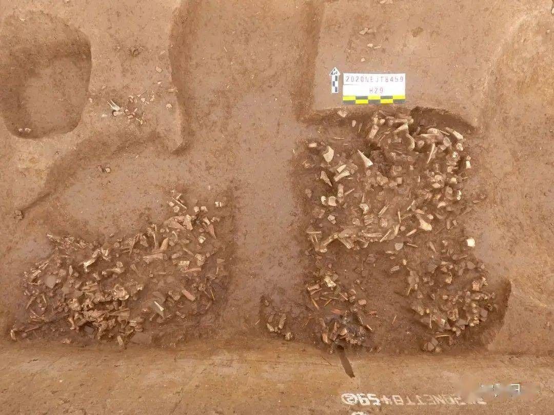 Arkeolog Temukan Situs Kota Kuno di
China Tengah-Image-1