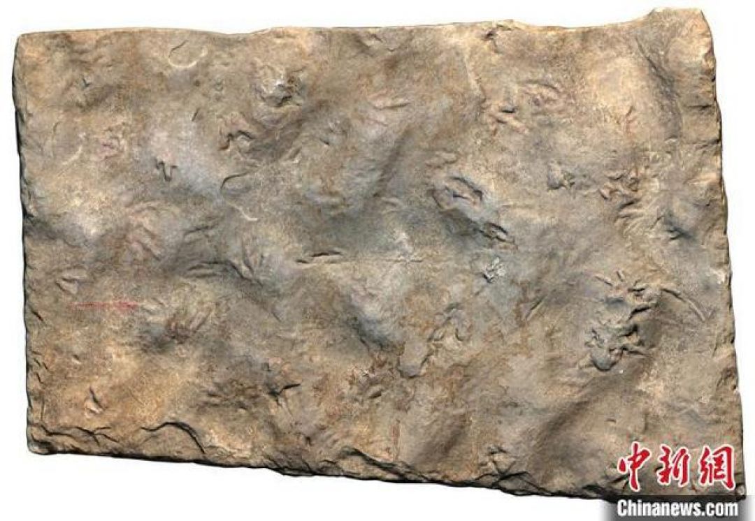 Jejak Kaki Dinosaurus Ditemukan di Kota Fushun-Image-2