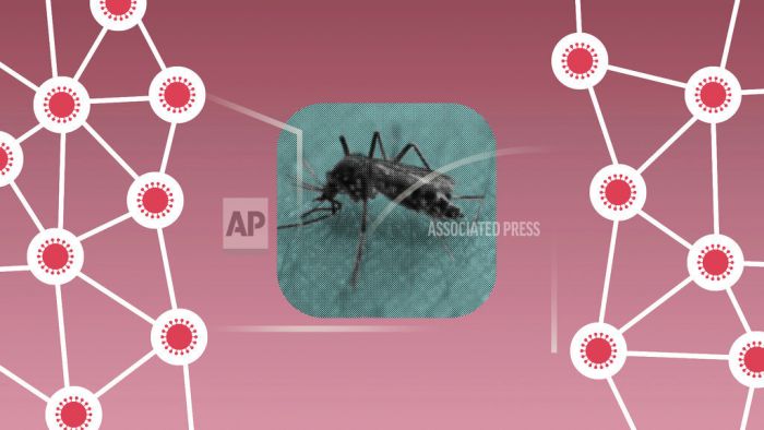 Bisakah Nyamuk Menyebarkan Virus Corona?-Image-1