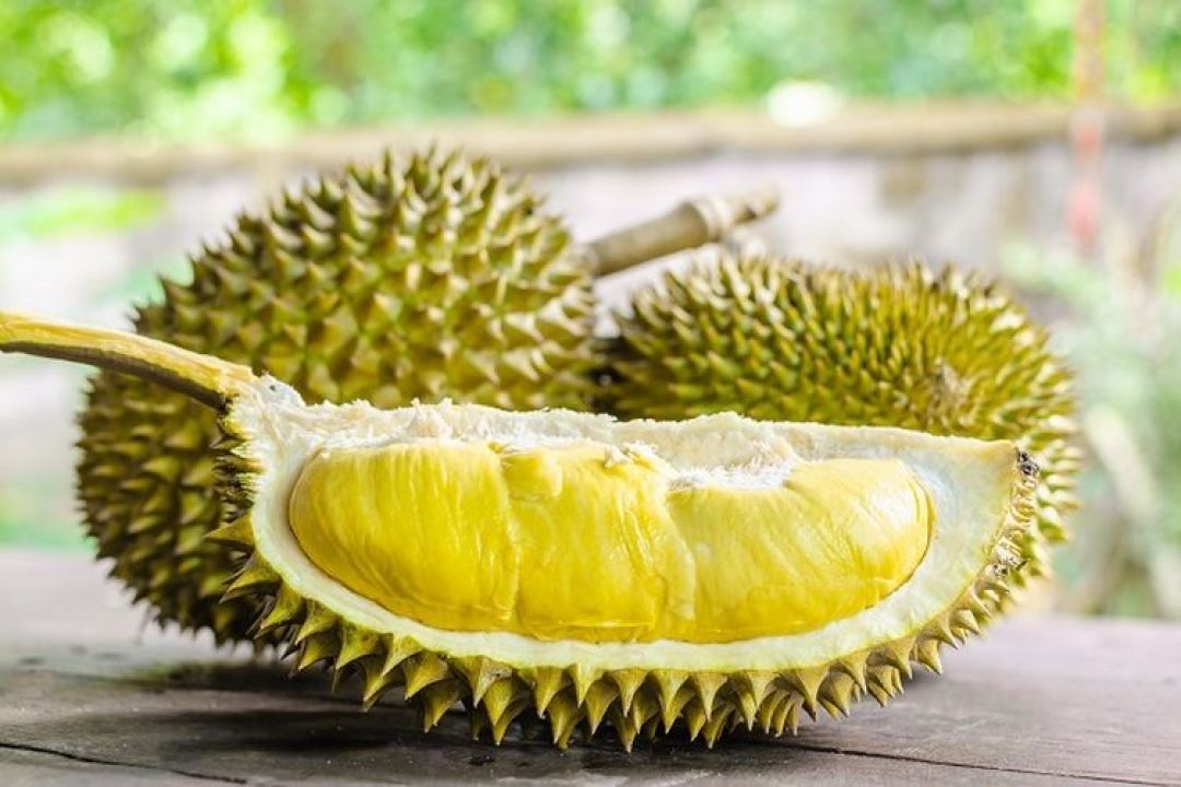 Penggemar Durian? Berikut 6 Manfaatnya-Image-1