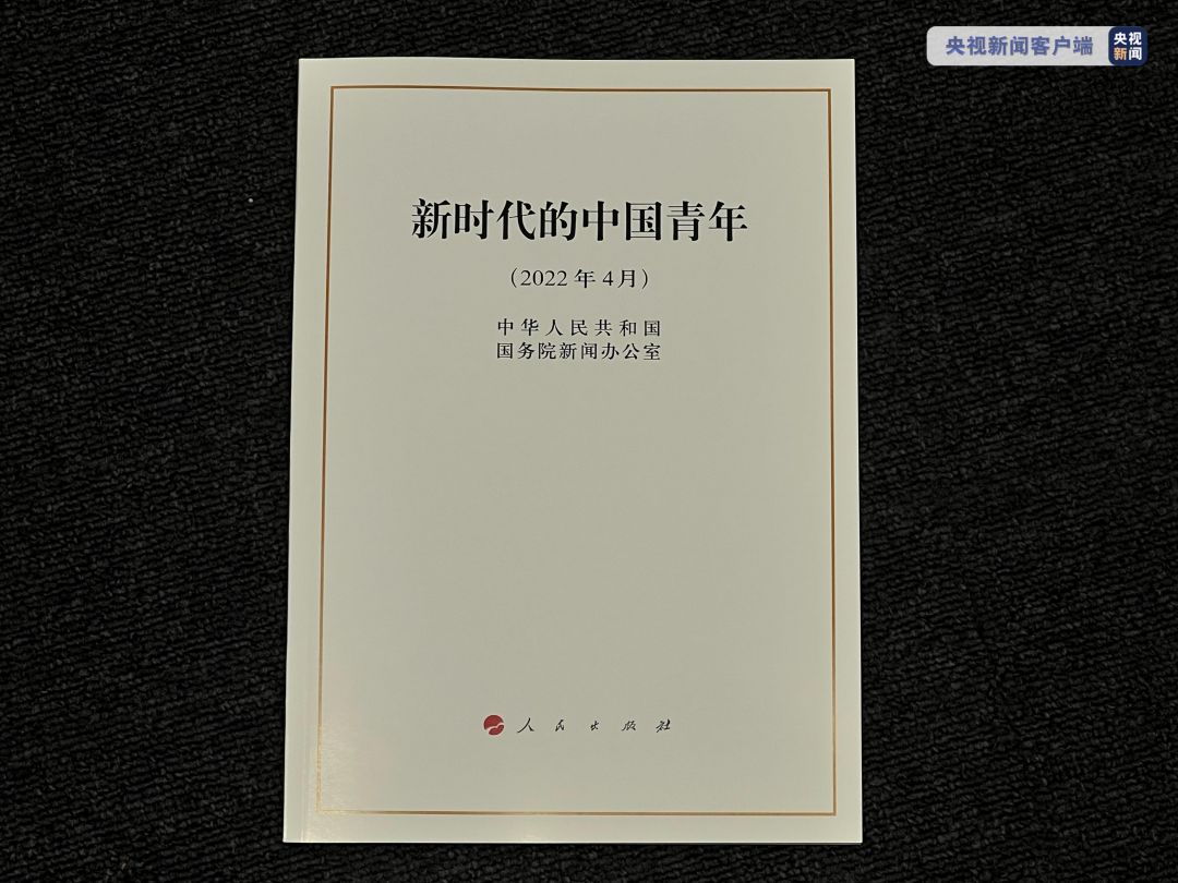 Dirilis, Buku Putih Pemuda China di Era Baru-Image-1