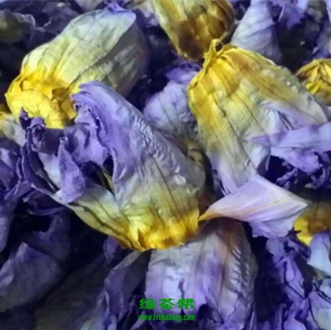 3 Manfaat Herbal Bunga Teratai Biru, Tanaman Langka Sejuta Manfaat-Image-2