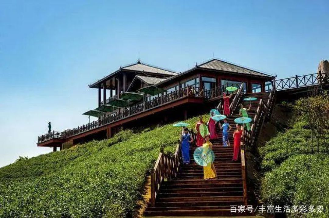 Rekomendasi 10 Resor Wisata Kebun Teh Indah di China-Image-1