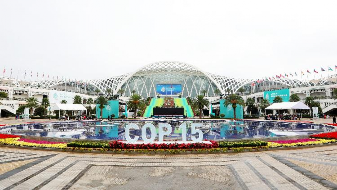 Deklarasi Kunming Diadopsi dari Pertemuan COP15-Image-1