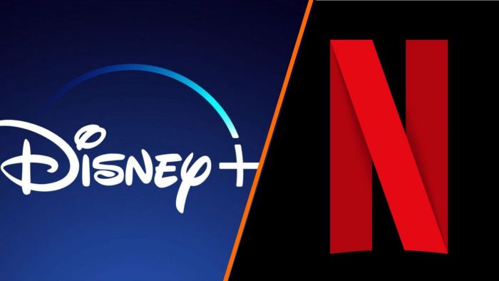 Netflix: Saat Ini Tak Akan Akuisisi Film Bioskop, dan Akan Bersaing dengan Disney-Image-1