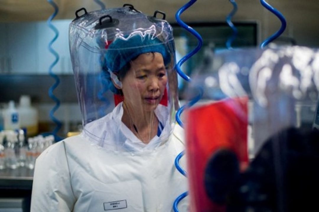 Tiongkok Bantah Virus Baru dari Kebocoran Laboratoriumnya-Image-1