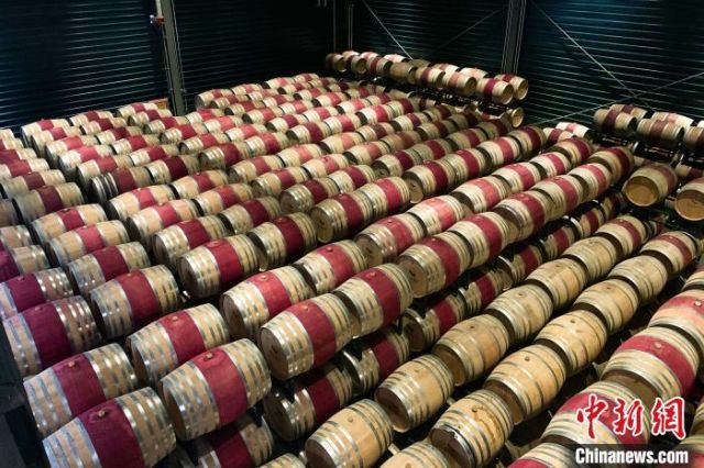 Ekspor Anggur Provinsi Ningxia Rp5,74 Miliar di 2020-Image-3