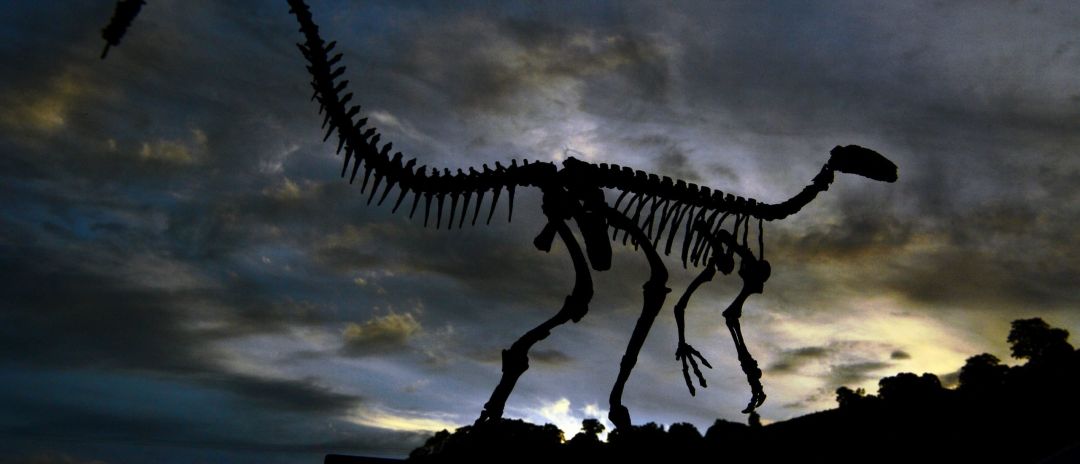 Dua Spesies Dinosaurus Baru Ditemukan di China Barat Laut-Image-1
