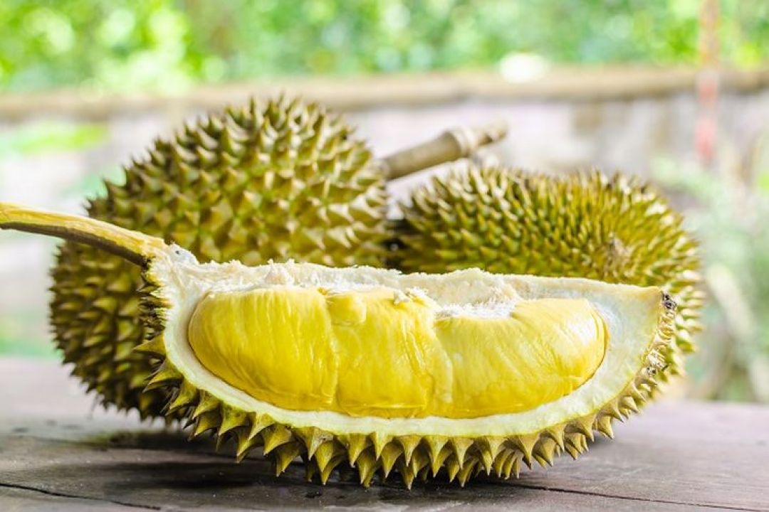 Kemasan Durian Thailand di Pasar China Terkontaminasi Virus COVID-19?-Image-1
