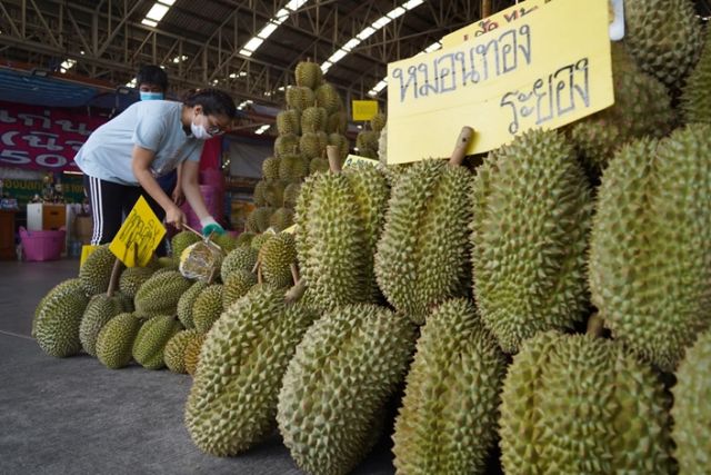 Ekspor Durian Thailand ke China 20 Ton Sehari-Image-1