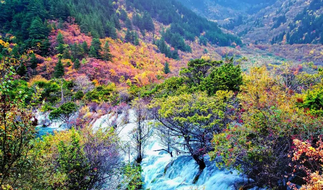 Mempesona! Ini 7 Keajaiban Alam Terbaik di China-Image-6