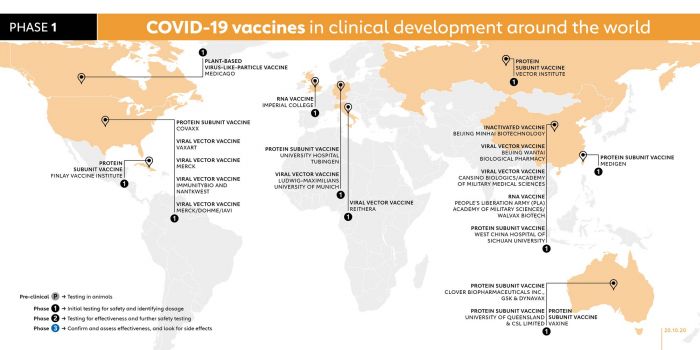 Begini Perlombaan Vaksin COVID-19 Sepanjang 2020-Image-4
