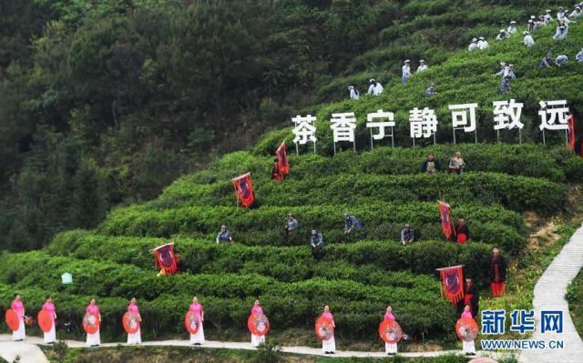 POTRET: Festival Budaya Teh di Chongqing-Image-4