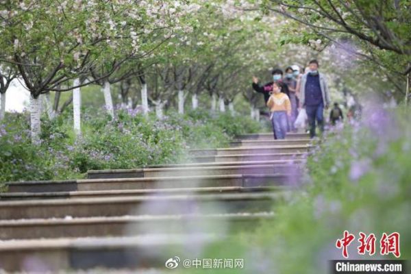 Festival Qingming Berhasil Membantu Pemulihan Pariwisata Domestik Tiongkok-Image-1