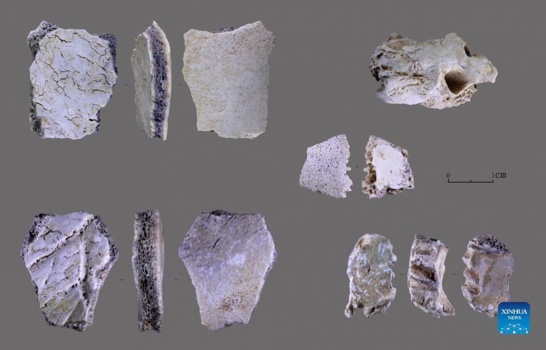 Fosil Tengkorak Manusia Berusia 32.000 Tahun Ditemukan di Henan China-Image-1