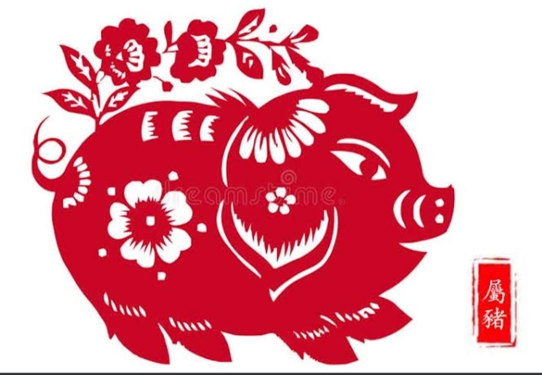 Ramalan Shio Babi Menurut Jam Lahir-Image-1