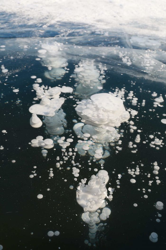 Unik, Gelembung Es Bermunculan di Danau China-Image-2