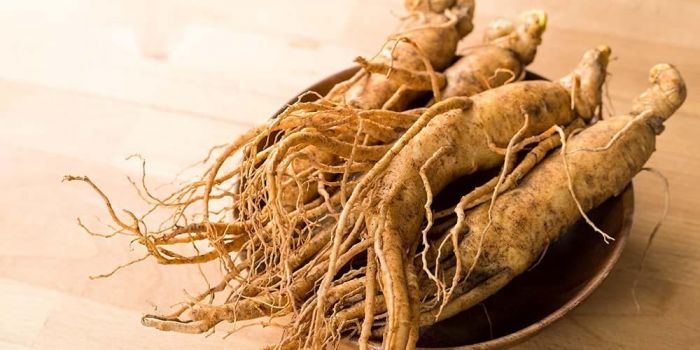 6 Manfaat Baik Ginseng Bagi Kesehatan, Bisa Cegah Kanker!-Image-1