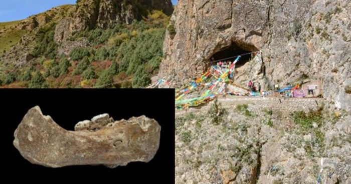 DNA Manusia Purba Denisovan Ditemukan di Gua Karst China-Image-2