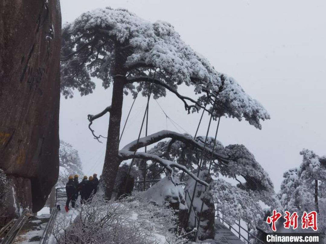 Demi Turis, Salju di Gunung Huangshan Dikerok-Image-1