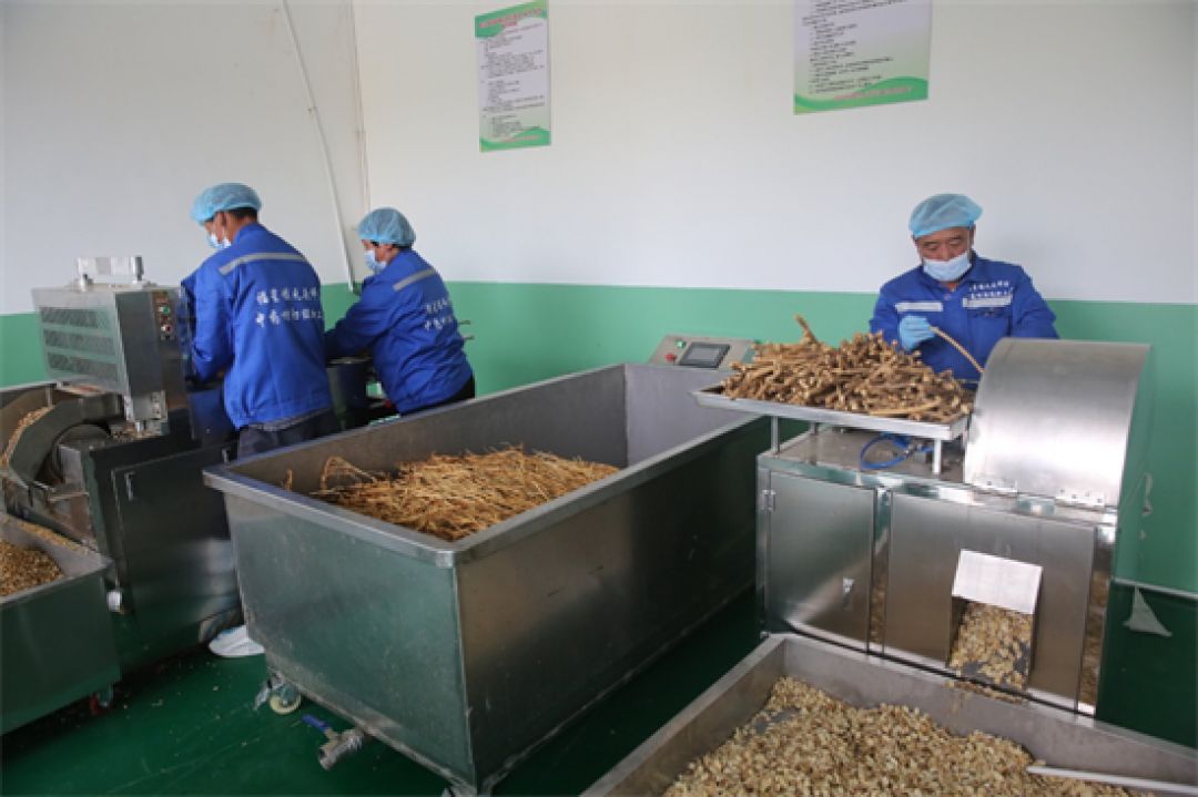 Upaya Medis Jaga Kualitas Prima Herbal China-Image-1