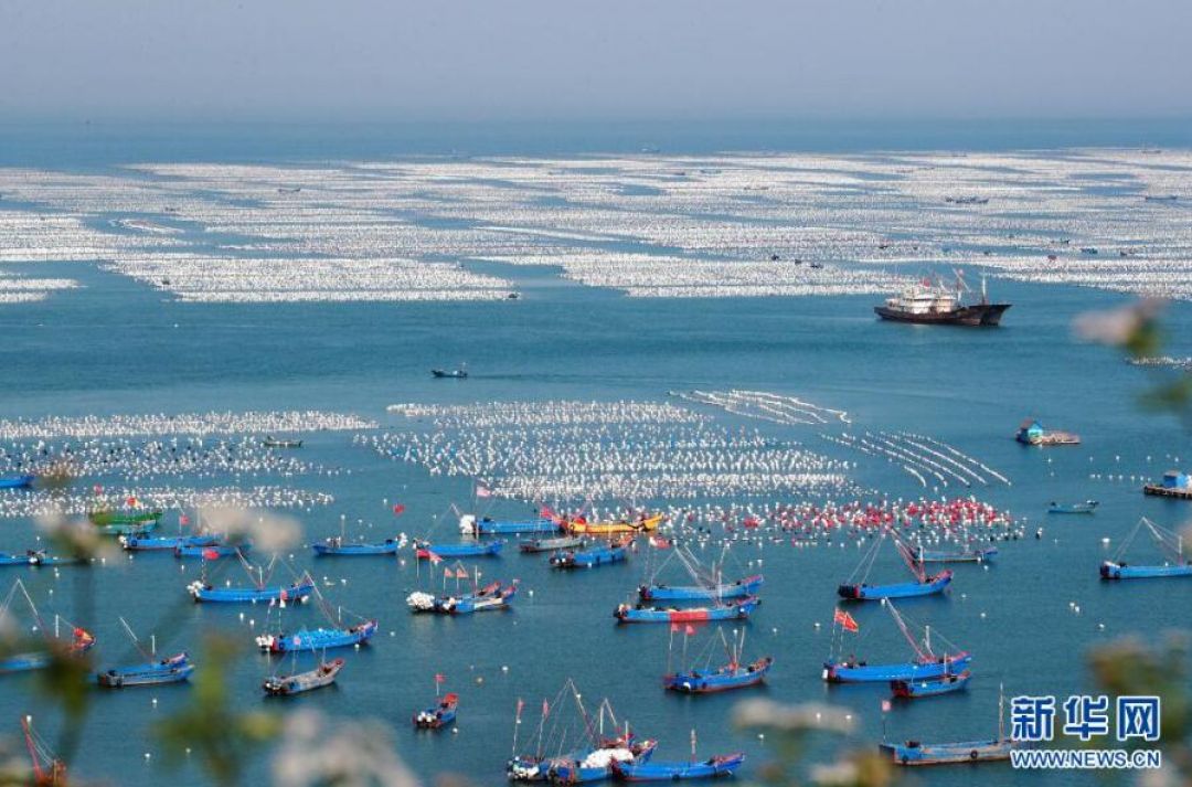 POTRET : Nelayan Kerang di Pulau Gouqi-Image-1