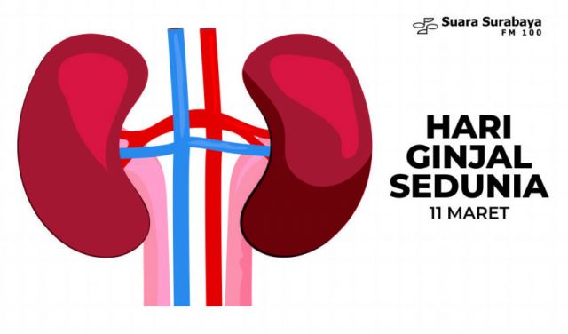 Hari Ginjal Sedunia 2021: Living Well with Kidney Disease-Image-1