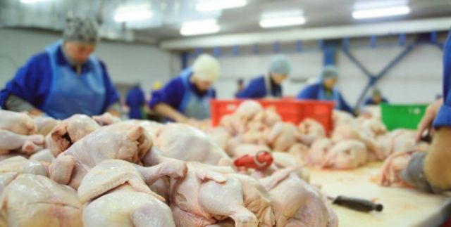 Hong Kong Hentikan Impor Daging dan Produk Unggas dari Jerman-Image-1