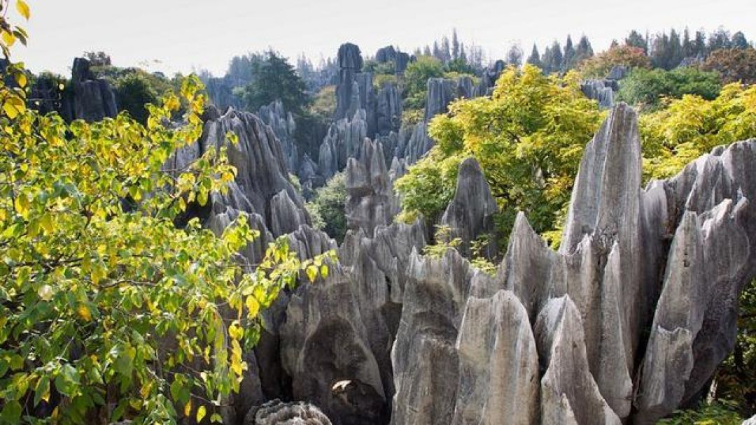 Hutan Batu Shilin, Keajaiban Bumi di China-Image-1