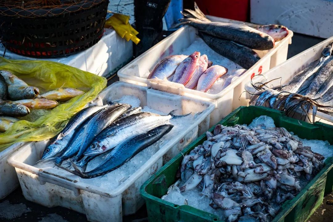 Awas Parasit, Ketiga Jenis Ikan Ini Harus Dimakan Sedikit Mungkin-Image-1