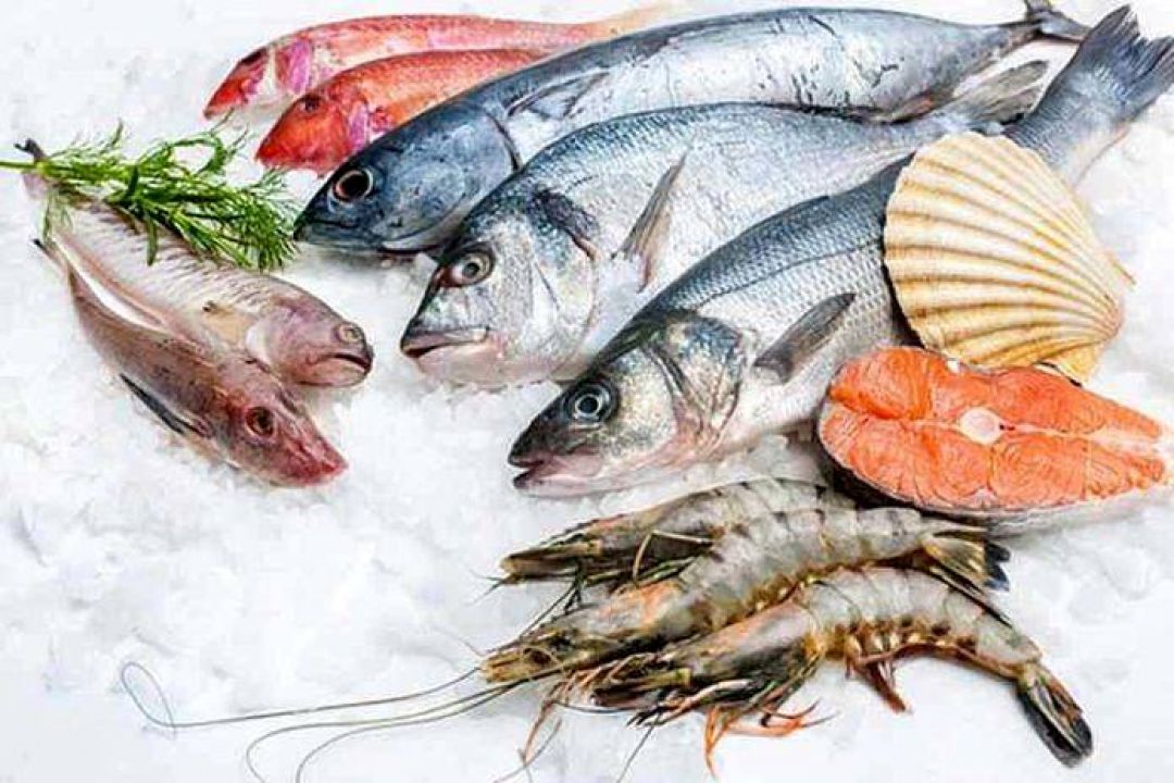 Manfaat Luar Biasa dari Makan Ikan-Image-1