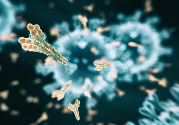 Titik Terang Makin Terlihat, Tiongkok Temukan Antibodi Penghambat Infeksi COVID-19-Image-1