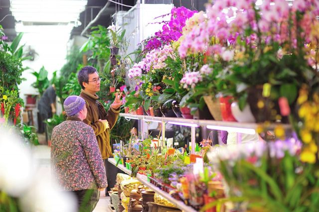 Kisah Petani Bunga Asal Hong Kong, Hadapi Tahun Baru Imlek yang Tidak 'Biasa'-Image-1