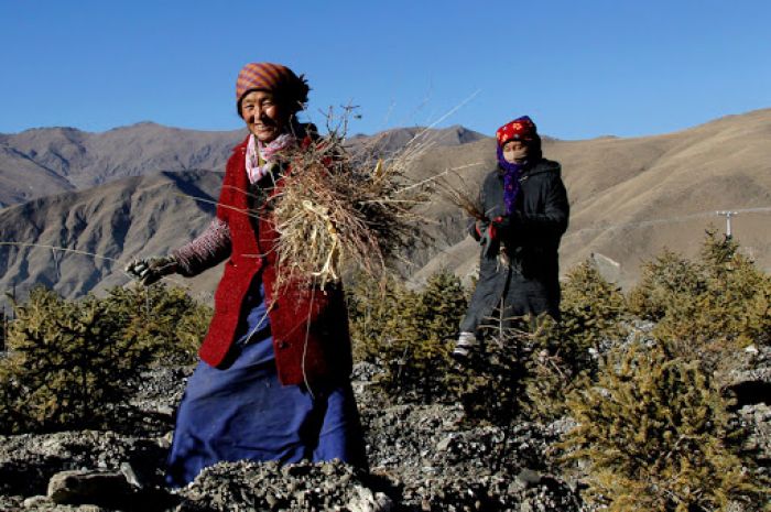 Pameran Foto Tampilkan Potret Kehidupan Masyarakat Pegunungan Qinghai-Tibet-Image-1