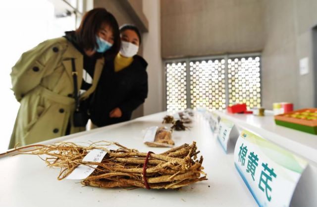 China Dirikan Institut Penelitian Industri Herbal di Beijing-Image-1