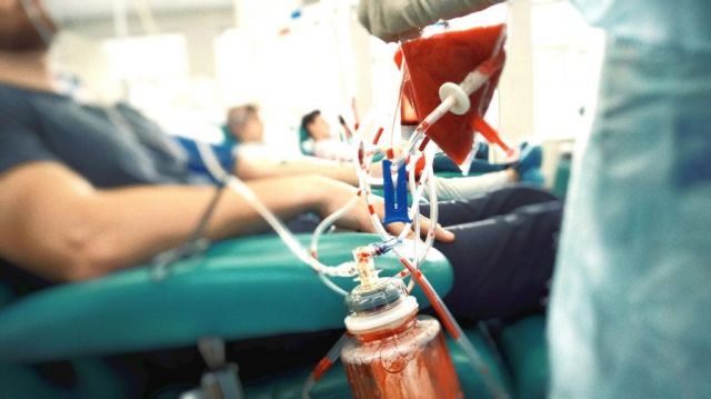 Sering Lakukan Donor Darah? Ini 5 Manfaat yang Akan Didapat-Image-1