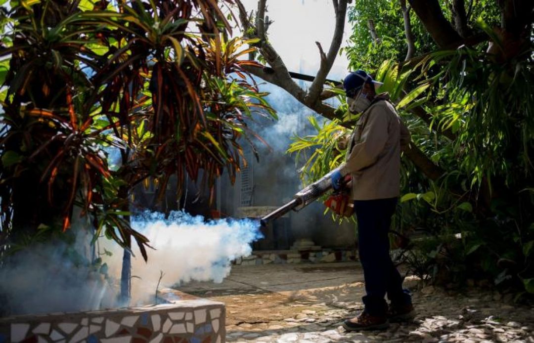 Upaya 81 Tahun, Kini China Disertifikasi Bebas Malaria oleh WHO-Image-1