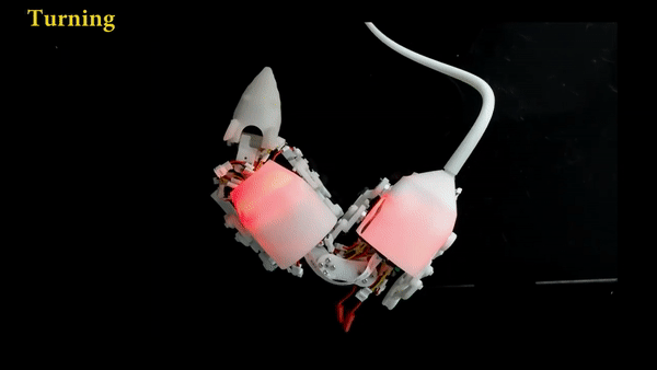 Peneliti China Bikin Robot Tikus, Super Gesit-Image-2