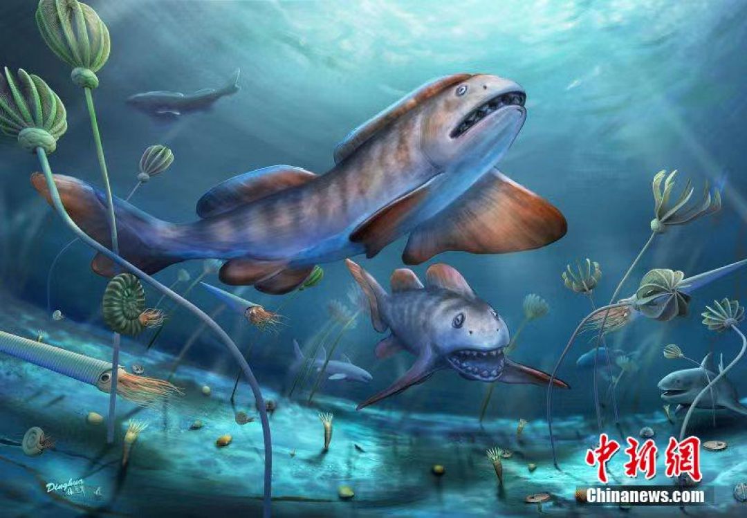 Fosil Ikan 290 Juta Tahun Lalu Ditemukan di Shanxi-Image-1