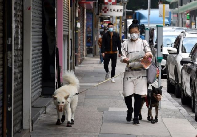 Kasus Lokal Baru di Guangzhou Terinfeksi Jenis Varian yang Muncul di India-Image-1