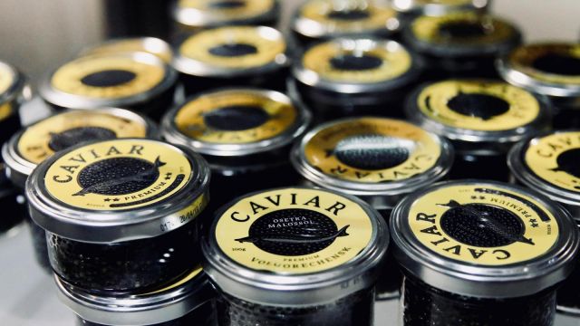 Kaviar Buatan Tiongkok Mendapatkan
Popularitas Global-Image-1