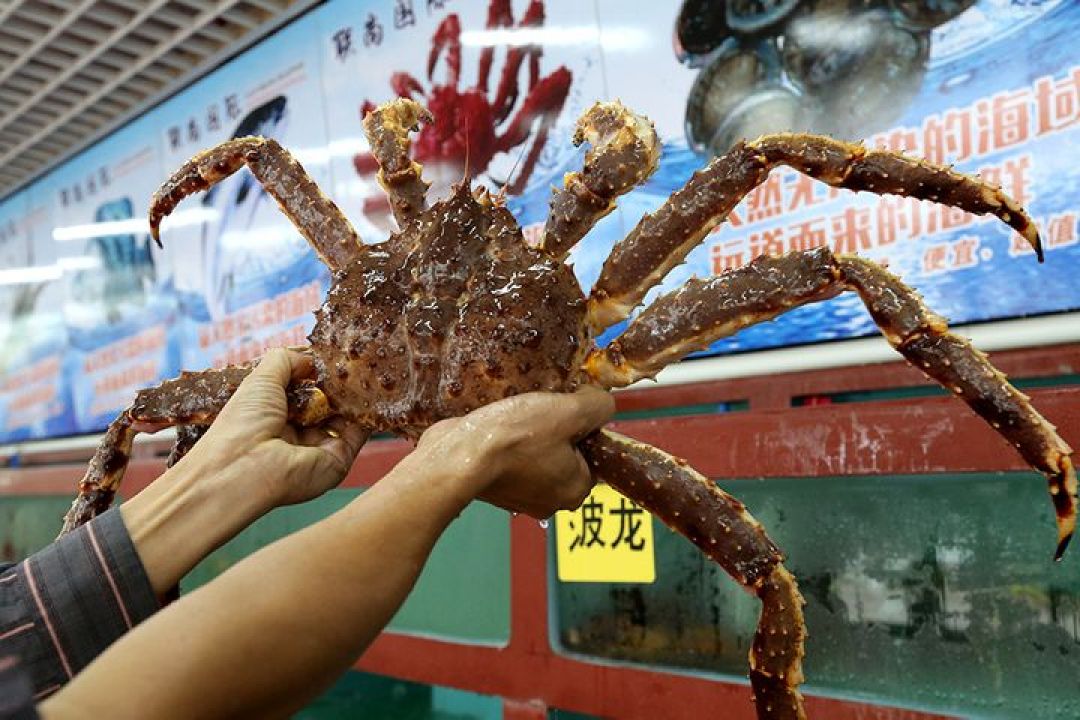 Makan Kepiting Tercantum di Sastra Klasik China-Image-1